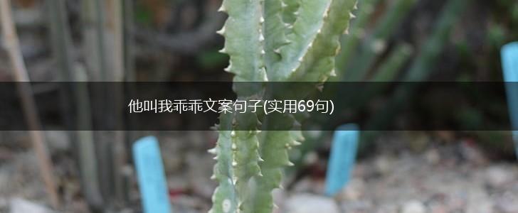 他叫我乖乖文案句子(实用69句),第1张