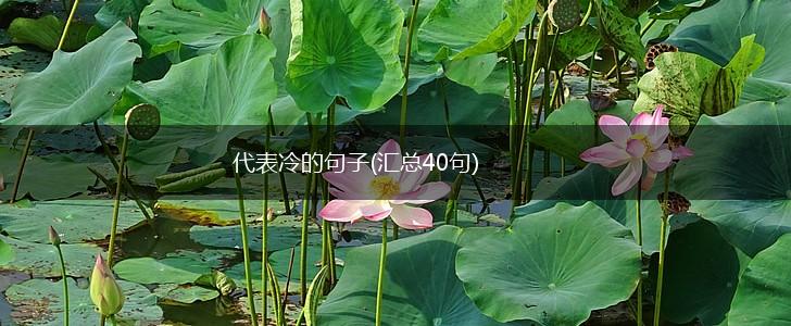 代表冷的句子(汇总40句),第1张