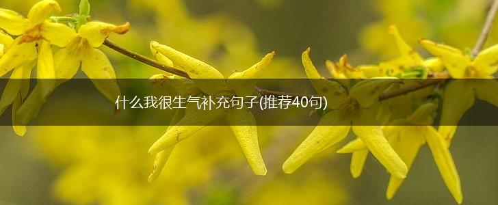 什么我很生气补充句子(推荐40句),第1张 什么我很生气补充句子(推荐40句),第1张