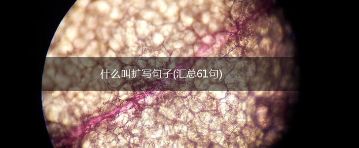 什么叫扩写句子(汇总61句),第1张