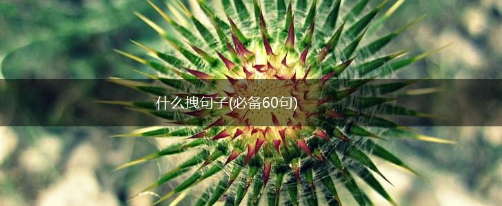 什么拽句子(必备60句),第1张