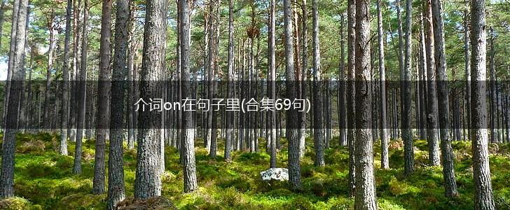 介词on在句子里(合集69句),第1张