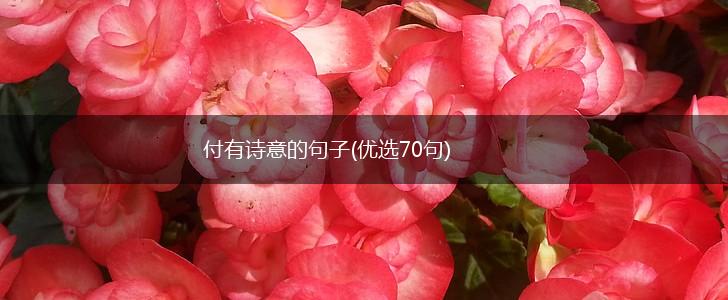 付有诗意的句子(优选70句),第1张