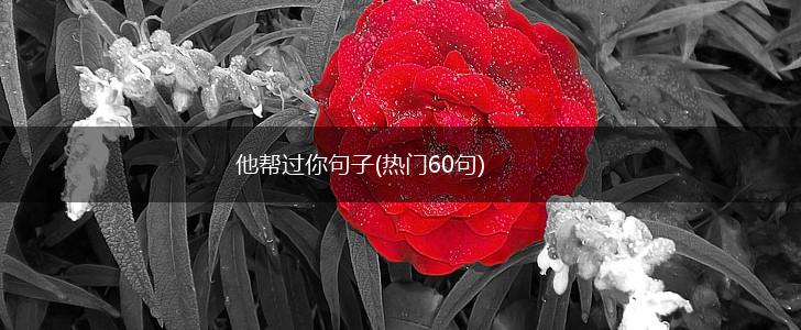 他帮过你句子(热门60句),第1张