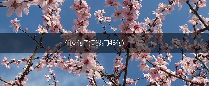 仙女句子短(热门43句),第1张