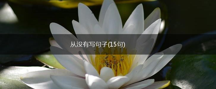 从没有写句子(15句),第1张