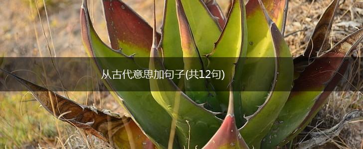从古代意思加句子(共12句),第1张