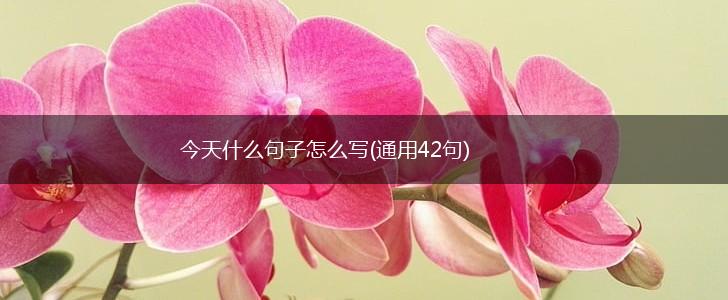 今天什么句子怎么写(通用42句),第1张