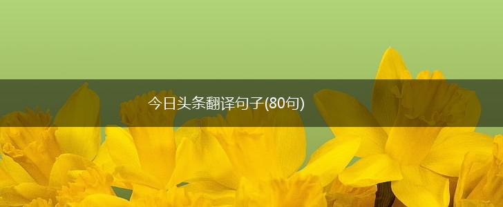 今日头条翻译句子(80句),第1张