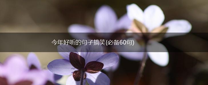今年好听的句子搞笑(必备60句),第1张