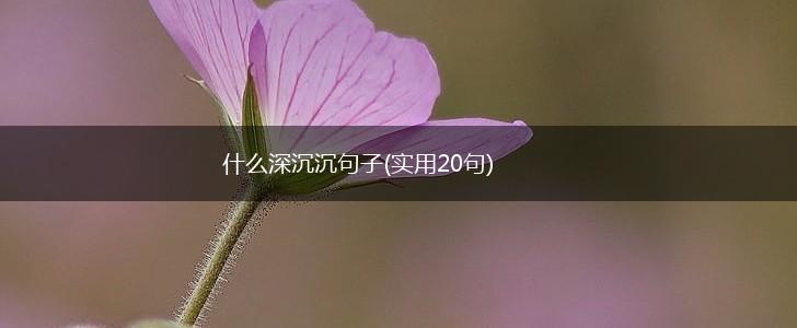 什么深沉沉句子(实用20句),第1张