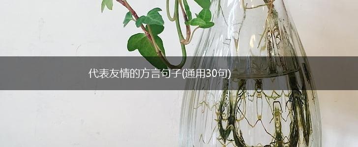 代表友情的方言句子(通用30句),第1张