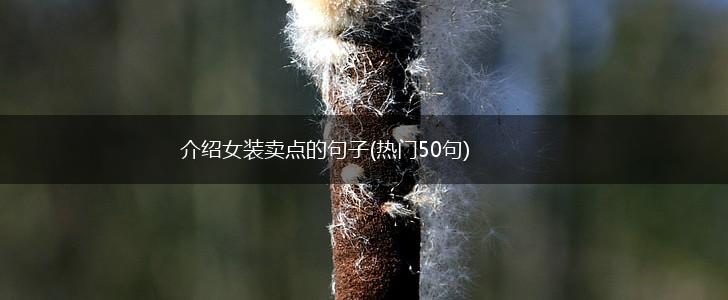 介绍女装卖点的句子(热门50句),第1张