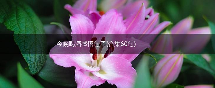 今晚喝酒感悟句子(合集60句),第1张