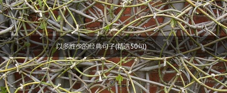 以多胜少的经典句子(精选50句),第1张