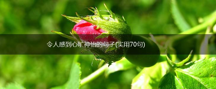 令人感到心旷神怡的句子(实用70句),第1张