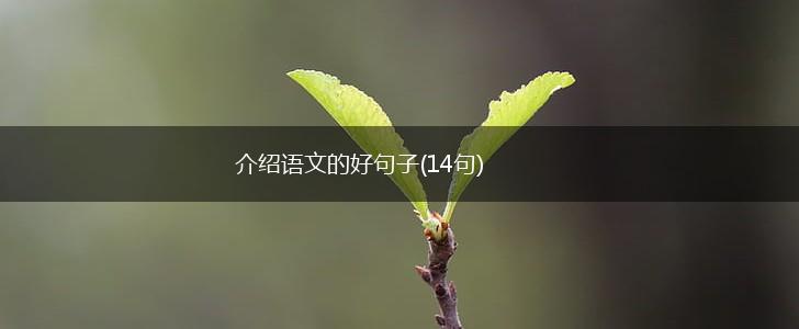 介绍语文的好句子(14句),第1张