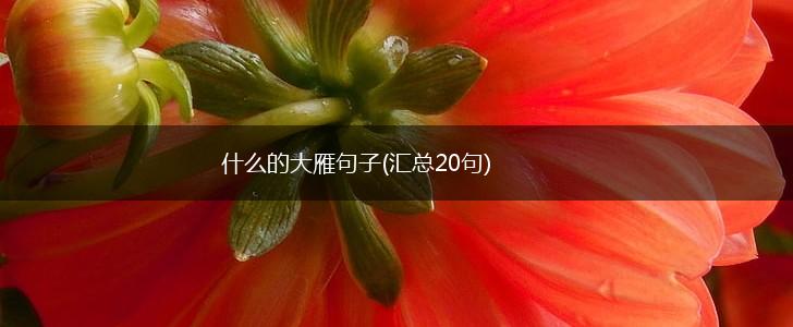 什么的大雁句子(汇总20句),第1张