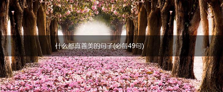 什么都真善美的句子(必备49句),第1张