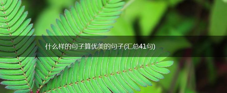 什么样的句子算优美的句子(汇总41句),第1张
