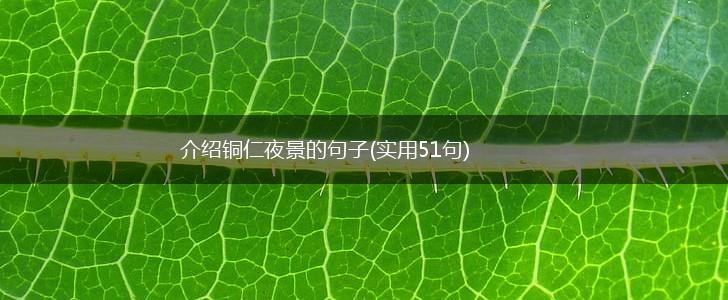 介绍铜仁夜景的句子(实用51句),第1张