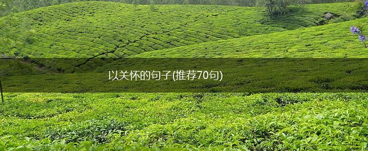 以关怀的句子(推荐70句),第1张