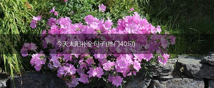 今天太阳补全句子(热门40句),第1张