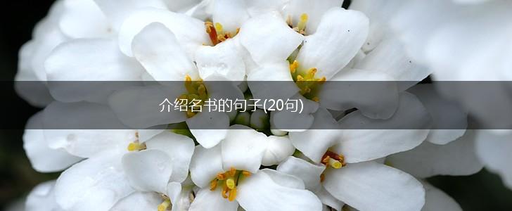 介绍名书的句子(20句),第1张