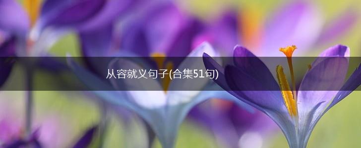 从容就义句子(合集51句),第1张