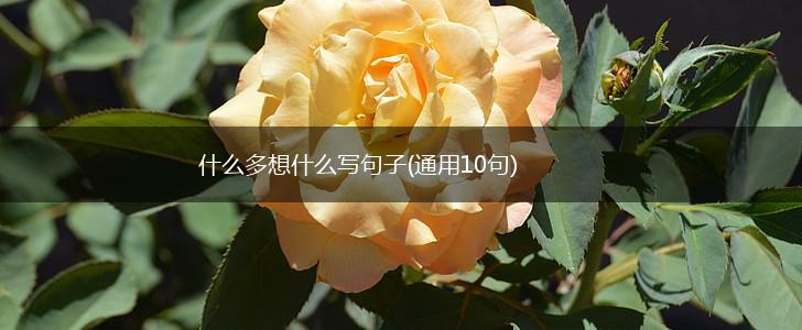 什么多想什么写句子(通用10句),第1张 什么多想什么写句子(通用10句),第1张