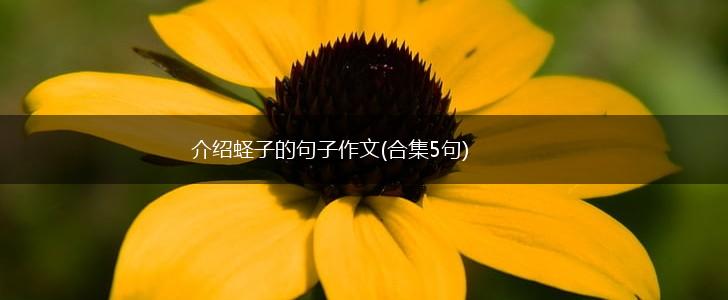 介绍蛏子的句子作文(合集5句),第1张