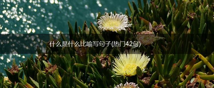什么是什么比喻写句子(热门42句),第1张