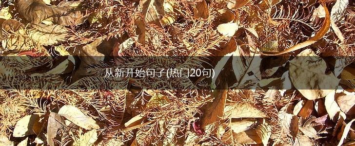 从新开始句子(热门20句),第1张
