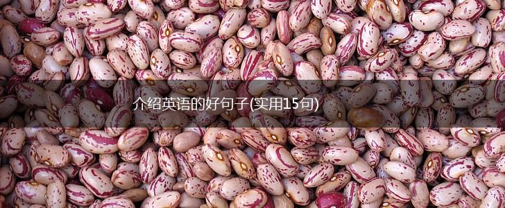 介绍英语的好句子(实用15句),第1张