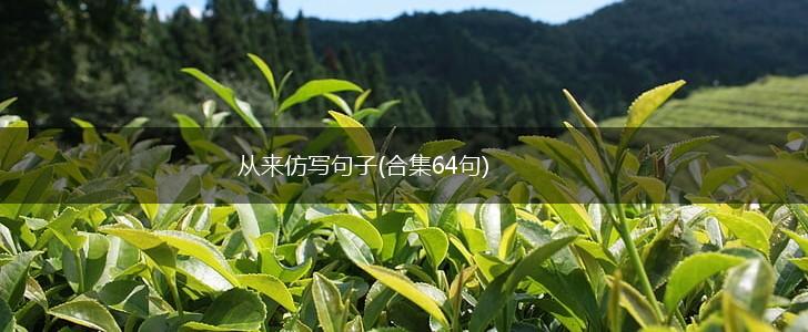 从来仿写句子(合集64句),第1张