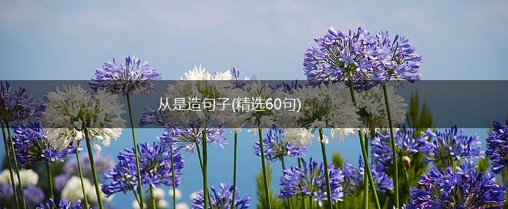 从是造句子(精选60句),第1张