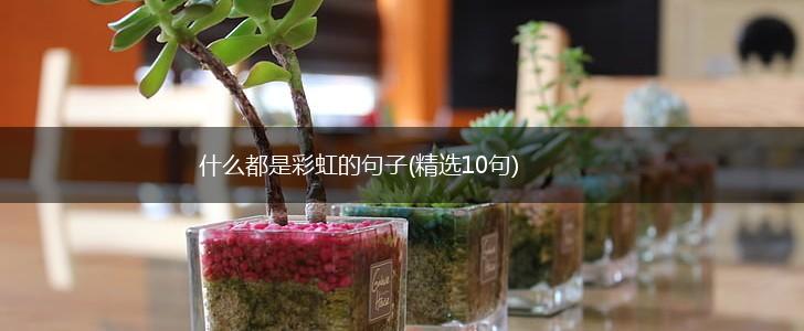 什么都是彩虹的句子(精选10句),第1张