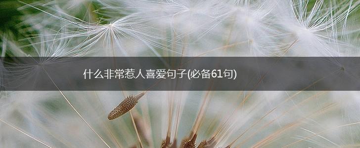 什么非常惹人喜爱句子(必备61句),第1张