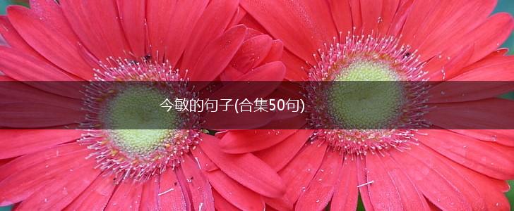 今敏的句子(合集50句),第1张