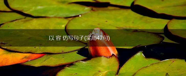 以 容 仿写句子(实用47句),第1张