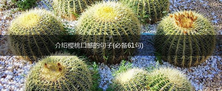 介绍樱桃口感的句子(必备61句),第1张