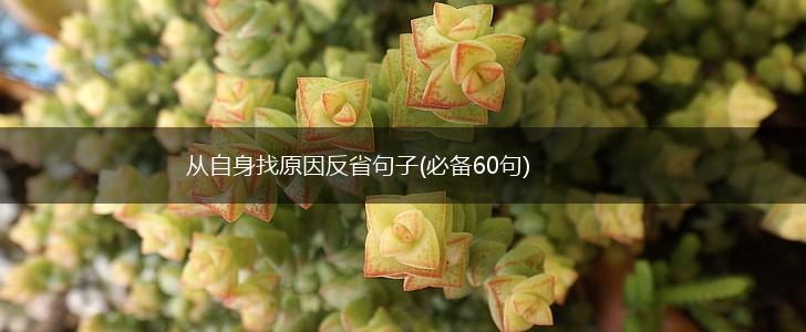 从自身找原因反省句子(必备60句),第1张