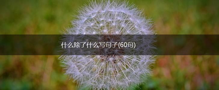 什么除了什么写句子(60句),第1张
