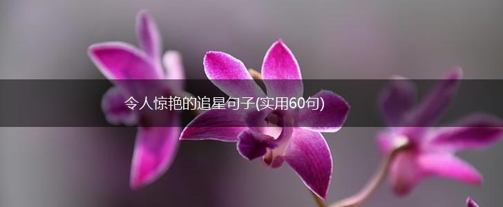 令人惊艳的追星句子(实用60句),第1张