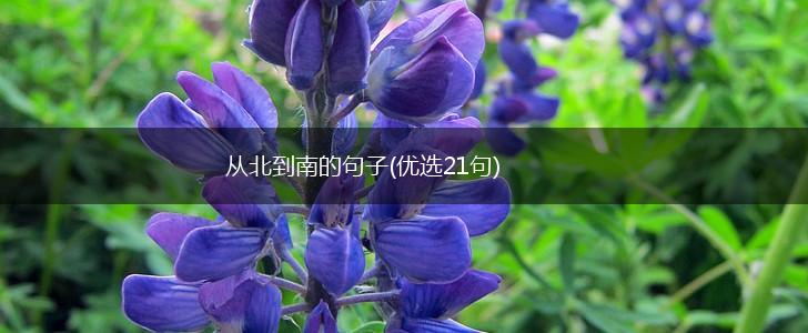 从北到南的句子(优选21句),第1张
