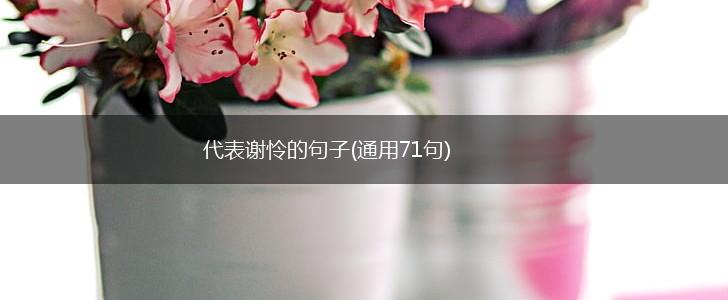 代表谢怜的句子(通用71句),第1张