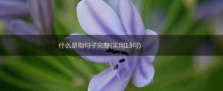什么是指句子完整(实用13句),第1张
