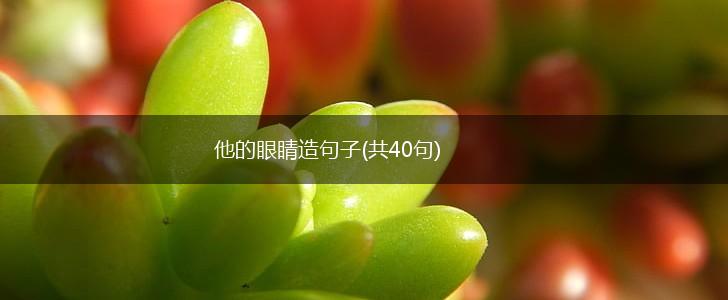 他的眼睛造句子(共40句),第1张