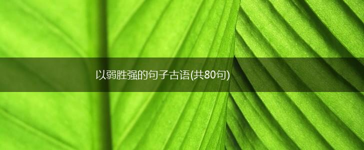 以弱胜强的句子古语(共80句),第1张