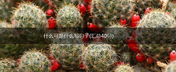 什么可是什么写句子(汇总40句),第1张